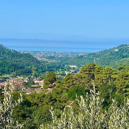 Casa Del Sole Bed & Breakfast Camaiore Exterior photo