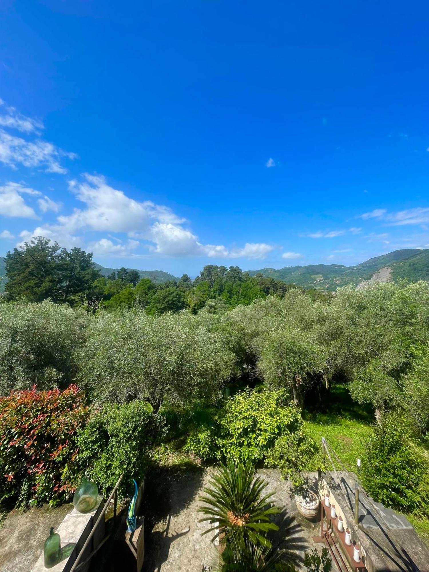 Casa Del Sole Bed & Breakfast Camaiore Exterior photo
